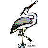Heron Ardea cinerea retro illustration