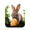 Easter Bunny