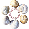 House snail