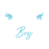 Elephant Lovers Gifts