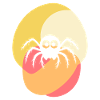 Tarantula Arachnid Predator
