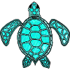 Green turtle - turquoise