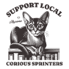 Assistance pour chats Local Abyssin