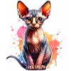 Cadeau Chat Sphynx