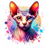Motif chat Sphynx