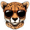 Cheetah Sunglasses Summer