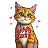 I love cats pic