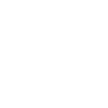 Flowers skull