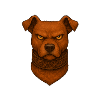 Wild Dog - Bad Dog