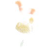 Hummel