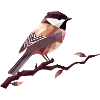 Geometric Songbird – Elegant Polygon Art