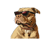 Bevor du fragst: Nein!