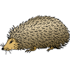 Hérisson