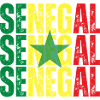 Drapeau sénégalais, fierté sénégalaise