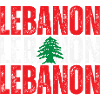 Drapeau du Liban, fierté libanaise