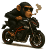 Motorrad