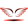 ANGEL WINGS
