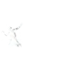 Padel-Mannschaft