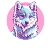 Arctic Wolf in Pink