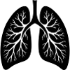 lung