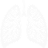 lung