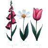 Foxglove Daisy Tulip Floral