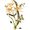 Fleur