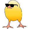 Cool chick
