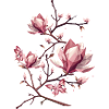 Magnolias and butterflies – delicate beauty