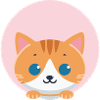 Orange Cat