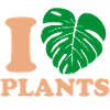 Tropique Naturel Monstera Design