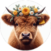 Highlander Calf with Flowers 2