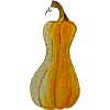 butternut squash