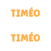 Timo