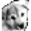 Pixel Jindo chiot
