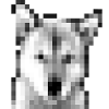 Jindo Mosaik