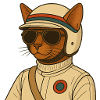 ABYSSINIAN CAT RACING DRIVER