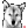 Jindo Mosaic mL