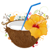 Exotic coconut cocktail with hibiscus