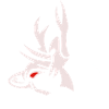 Cerf3 1 blanc