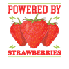 Strawberry Strawberry Gift