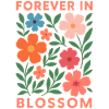 FOREVER IN BLOSSOM