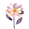 fleur B