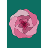 Wildrose