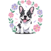 Humour Chien Bouledogue Français Femme