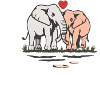 Elephants in love Photo