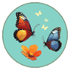 Schmetterling