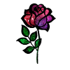 Cosmic Rose