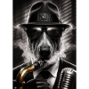 Dog in Jazz