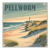 Pellworm Nordsee Strand